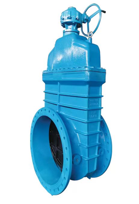 ductile iron valve