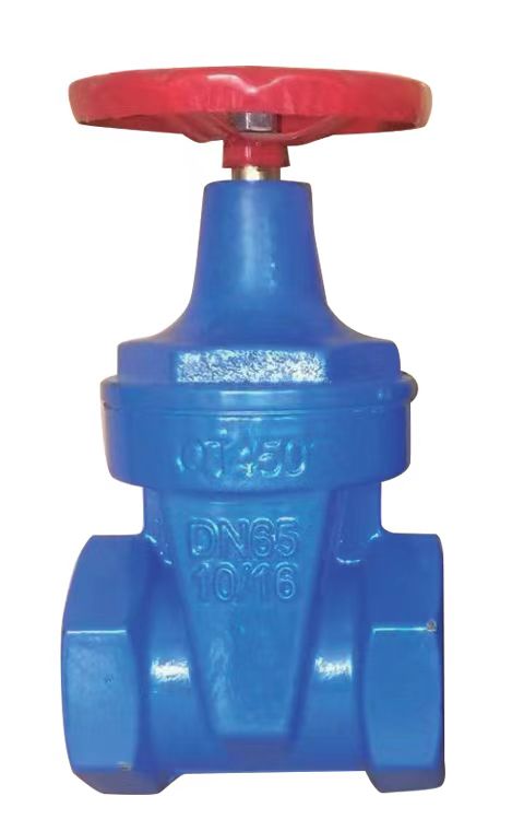 ductile iron valve