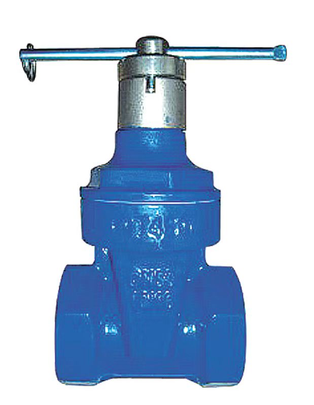 ductile iron valve