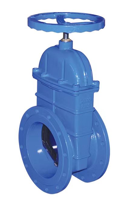 ductile iron valve