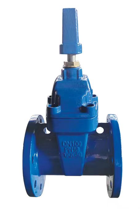 ductile iron valve