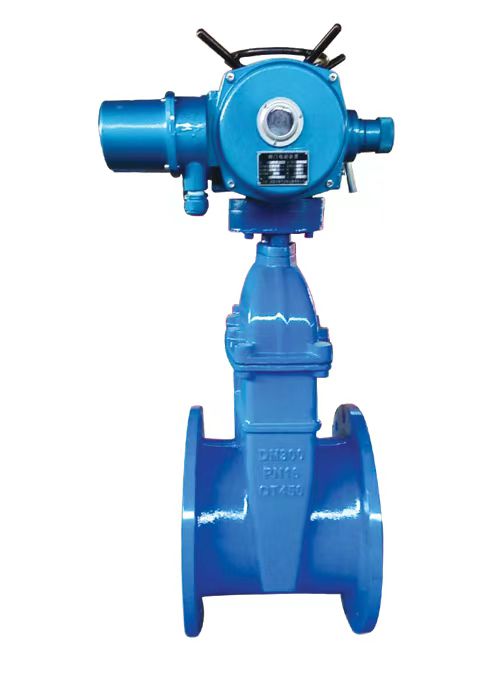 Ductile iron valve